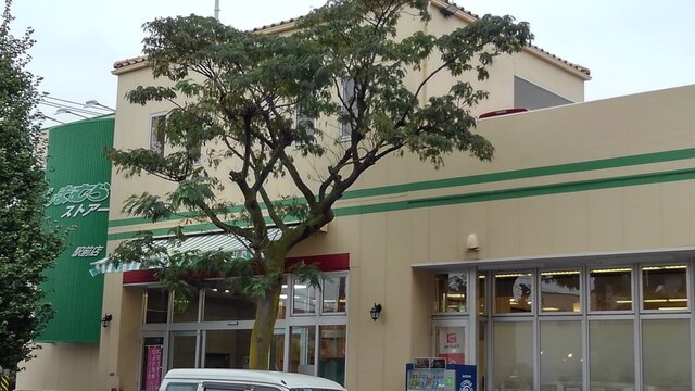 スーパー　しまむらストアー（スーパー）まで290m