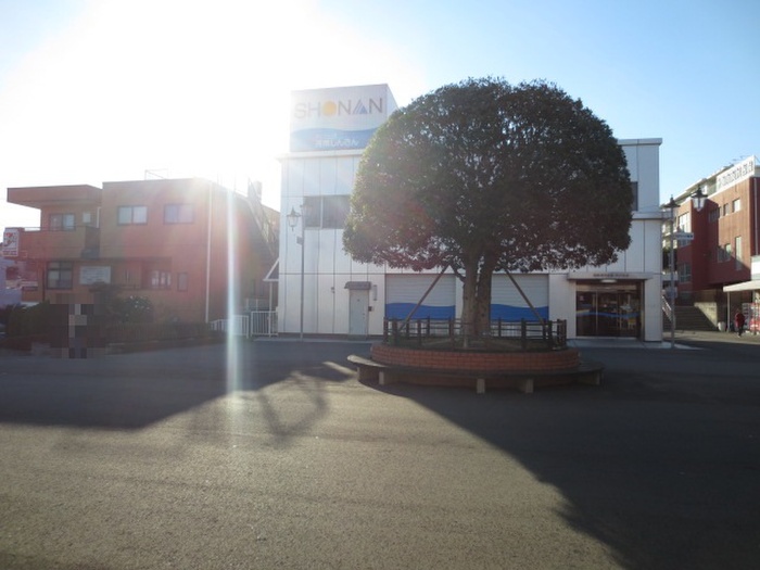 銀行　湘南信用金庫　長沢支店（銀行）まで843m