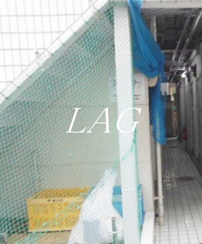 その他共有部分　敷地内ゴミ置き場です。