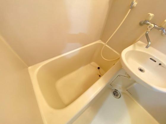 バス・シャワールーム　※別部屋の写真です