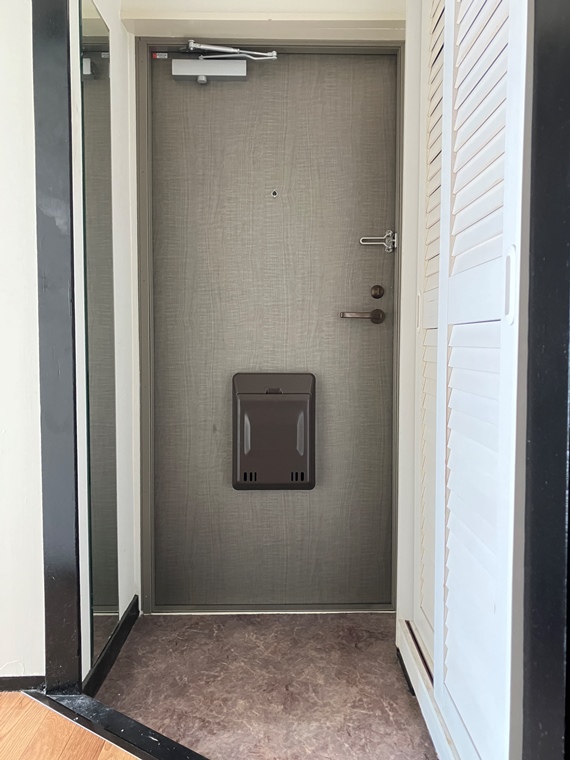 玄関　玄関です