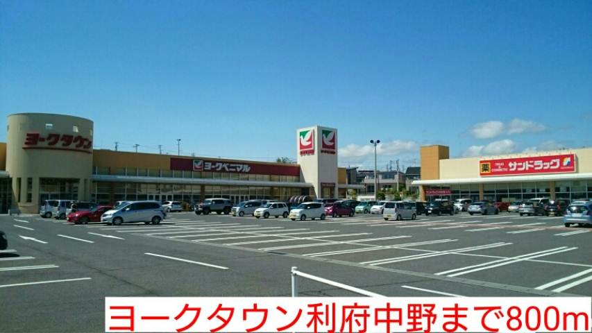 ショッピングセンター　ヨークタウン利府中野（ショッピングセンター）まで800m