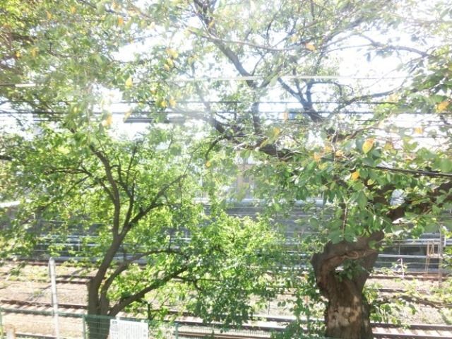 眺望　★景色★