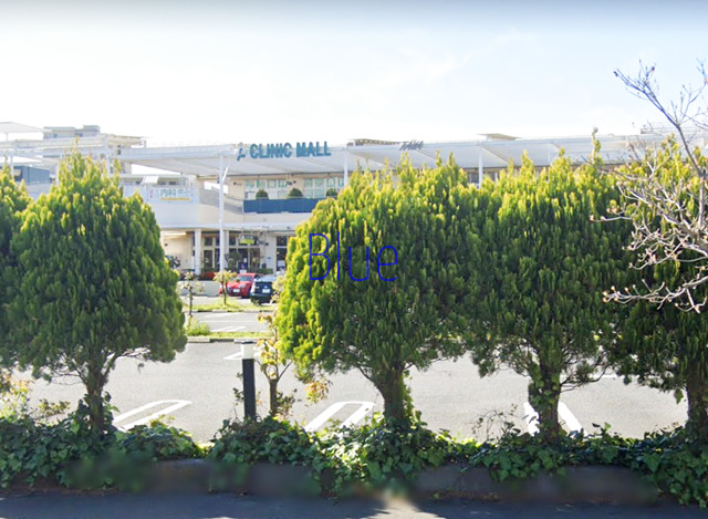 ショッピングセンター　トレアージュ白旗（ショッピングセンター）まで476m