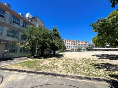 小学校　千種小学校（小学校）まで569m