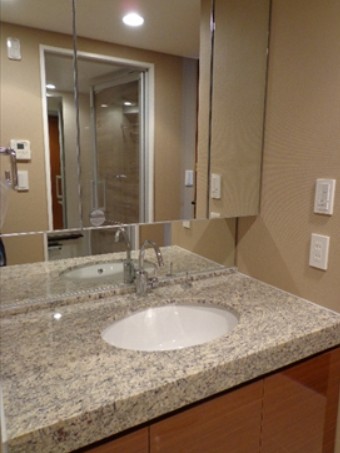 洗面設備　他部屋参考写真