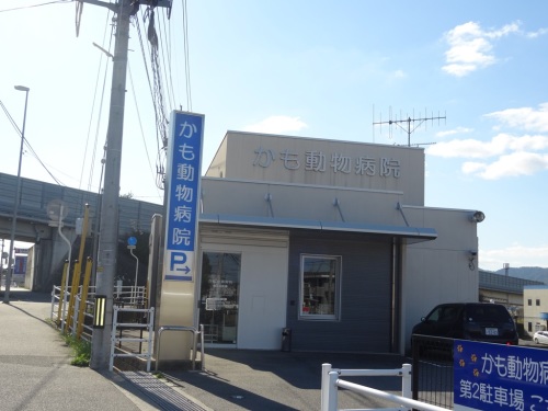 病院　かも動物病院（病院）まで595m