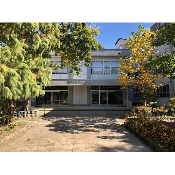 小学校　長野市立山王小学校（小学校）まで704m