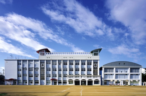 小学校　神戸市立駒ヶ林小学校（小学校）まで347m