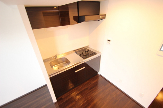 キッチン　※別号室の写真です