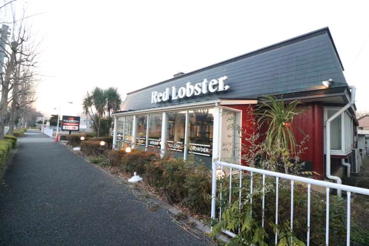 飲食店　レッドロブスター武蔵野関前店（飲食店）まで1416m
