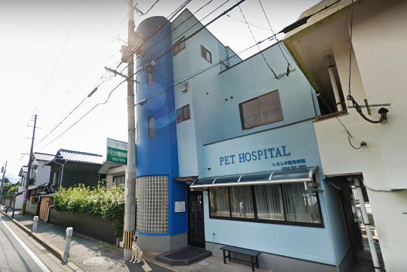 病院　トミシタ動物病院（病院）まで472m
