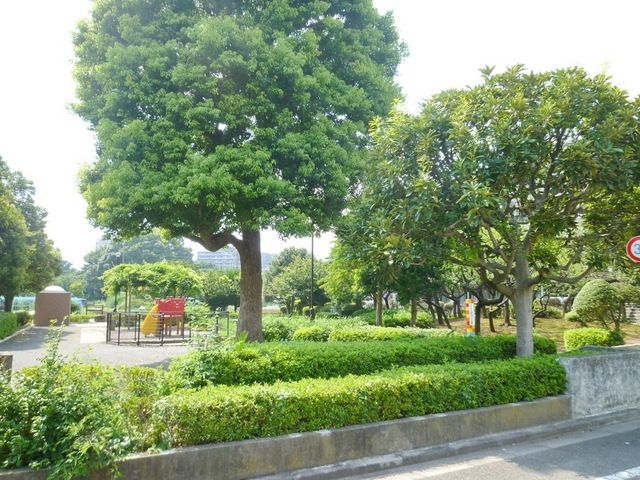 公園　公園（公園）まで50m