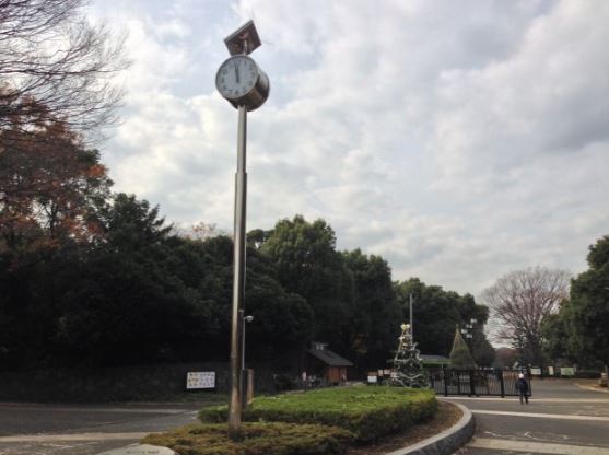 公園　都立代々木公園原宿門（公園）まで718m