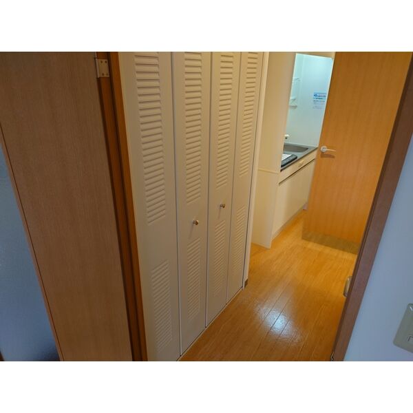 収納　室内写真は別部屋の写真です。家具家電はつきません。