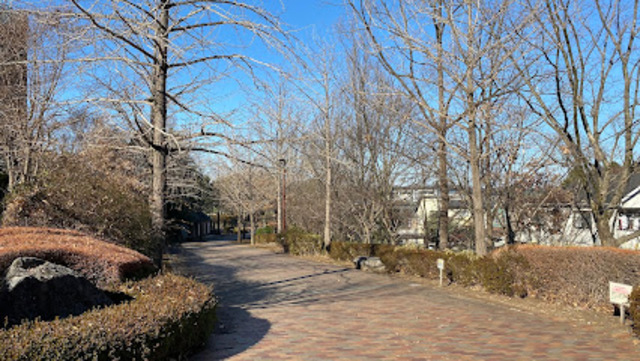 飲食店　いち（飲食店）まで246m