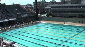 その他　青木町公園総合運動場市民プール（その他）まで1243m