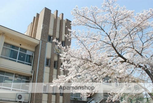 中学校　奈良市立飛鳥中学校（中学校）まで787m