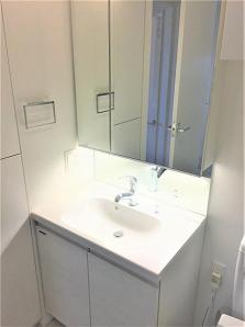 洗面設備　※別部屋の参考写真です。