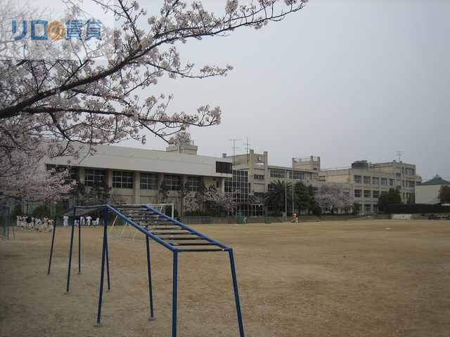 小学校　伊丹市立桜台小学校（小学校）まで278m