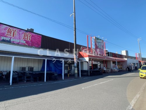 スーパー　BIG LIVE(ビッグ リブ) 安城店（スーパー）まで480m
