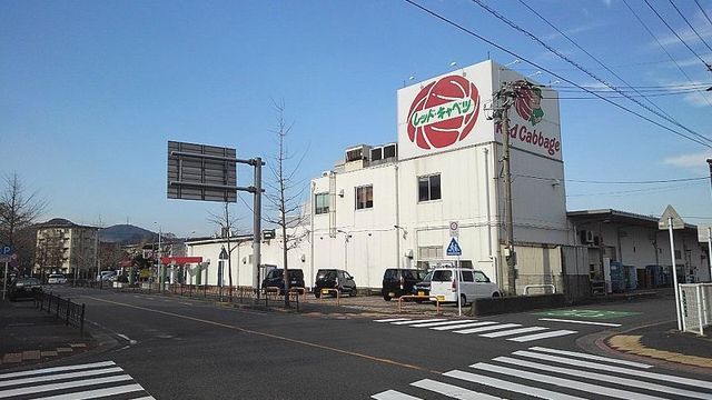 スーパー　レッドキャベツ（スーパー）まで550m