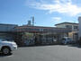 コンビニ　セブンイレブン 浜松アリーナ前店（コンビニ）まで228m