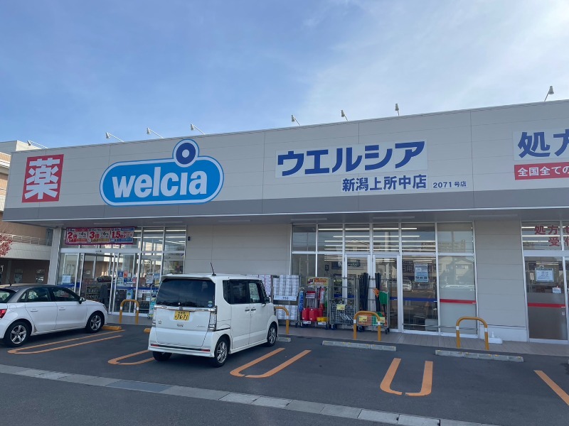 ドラックストア　ウエルシア新潟上所中店（ドラッグストア）まで806m