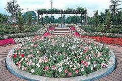 公園　フラワーランド（公園）まで551m