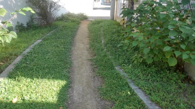 公園　藤が丘緑地（公園）まで384m