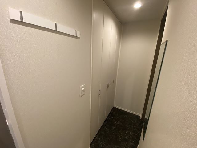 玄関　同施工会社の別物件。参考写真です。