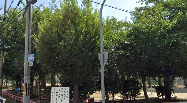 その他　東中川公園（その他）まで261m