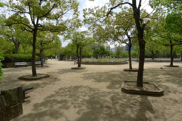 公園　中央公園（公園）まで802m
