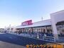スーパー　ベルクス草加青柳店（スーパー）まで790m