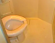 トイレ　トイレです