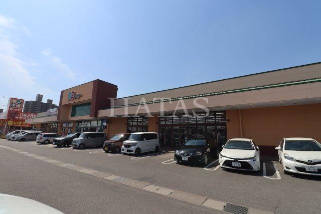 スーパー　ドミー　東浦店（スーパー）まで1510m