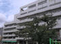 小学校　千代田区立和泉小学校（小学校）まで368m