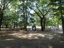 公園　板橋区平和公園（公園）まで170m