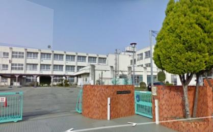 小学校　堺市立土師小学校（小学校）まで443m