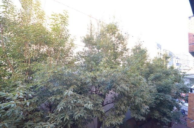 眺望　＊別部屋参考写真です