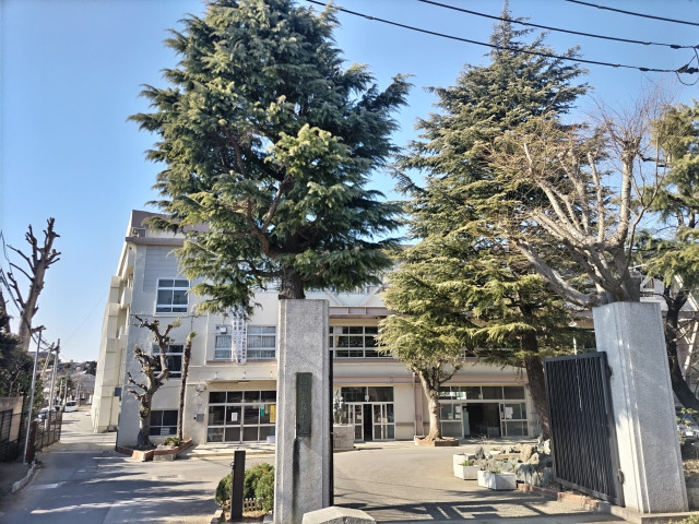 小学校　船橋市立葛飾小学校（選択学区です）（小学校）まで700m