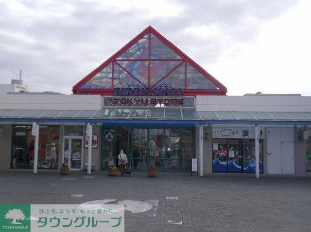 ショッピングセンター　東急ストア（ショッピングセンター）まで340m
