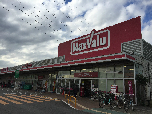 スーパー　マックスバリュ　平塚河内店（スーパー）まで224m