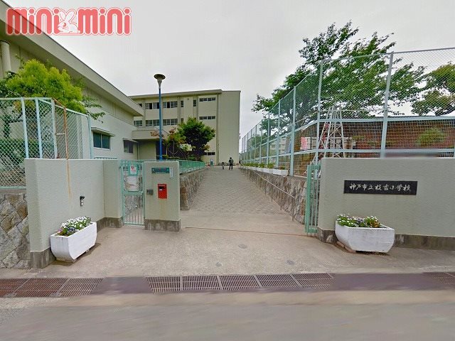 小学校　神戸市立枝吉小学校（小学校）まで1331m