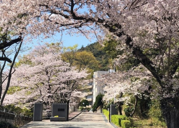高校・高専　姫路市立琴丘高等学校（高校・高専）まで2100m