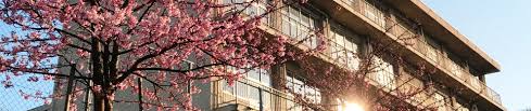 小学校　福山市立野々浜小学校（小学校）まで406m