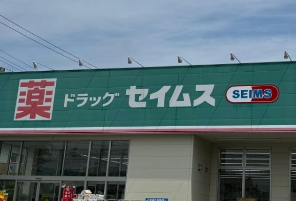 ドラックストア　ドラッグセイムス西蒲田5丁目店（ドラッグストア）まで262m