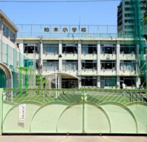 小学校　新宿区立柏木小学校（小学校）まで330m