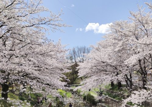 公園　城土公園（公園）まで507m