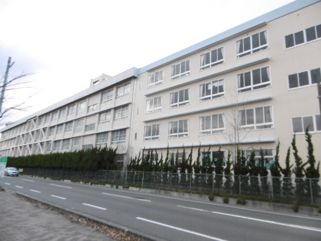 小学校　新潟市立新通小学校（小学校）まで451m